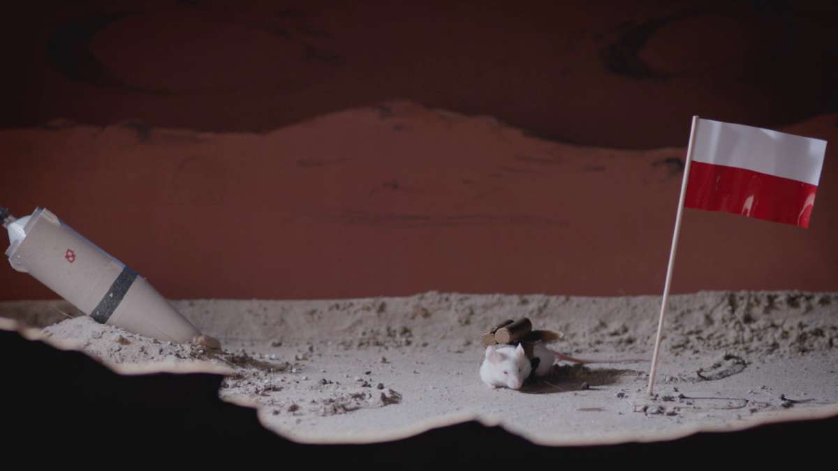 Pawel The Polish Mouse Goes to The Moon