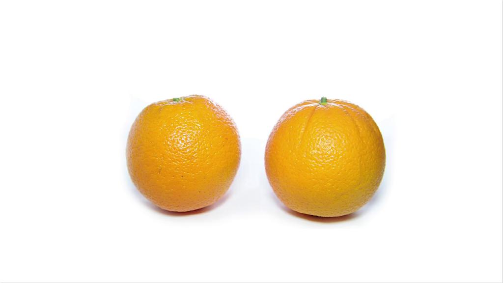 LISCA - ZA VSE VELIKOSTI