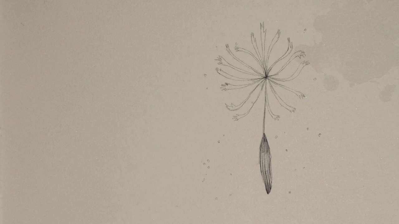 La Botanique des Amours