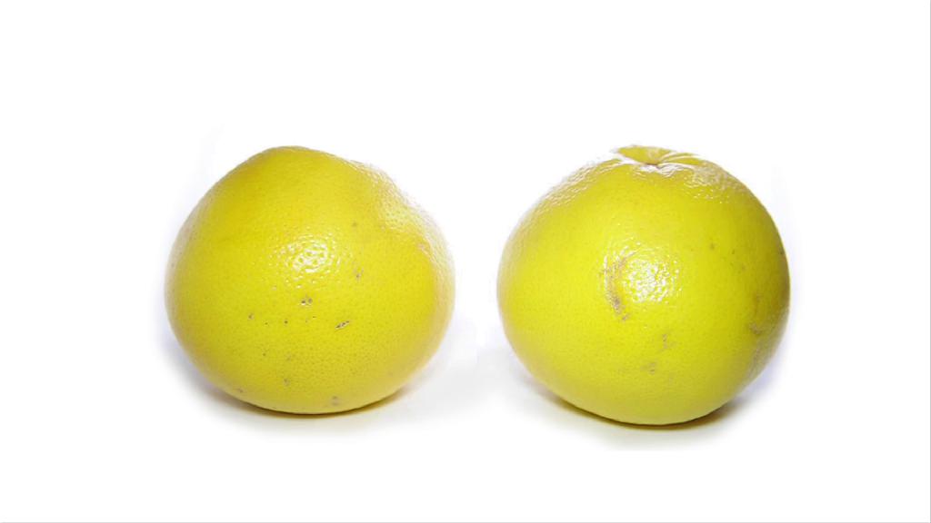 LISCA - ZA VSE VELIKOSTI