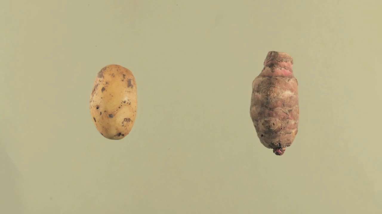 La Botanique des Amours