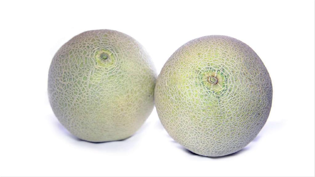 LISCA - ZA VSE VELIKOSTI